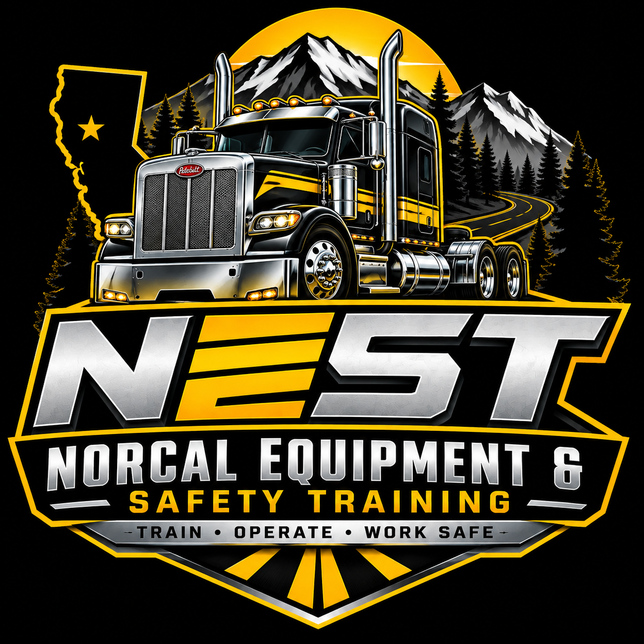 Class A CDL NEST decal